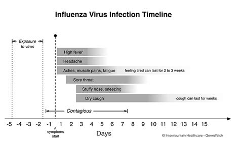 type b influenza incubation period.